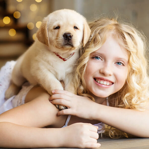 breed tips family dog