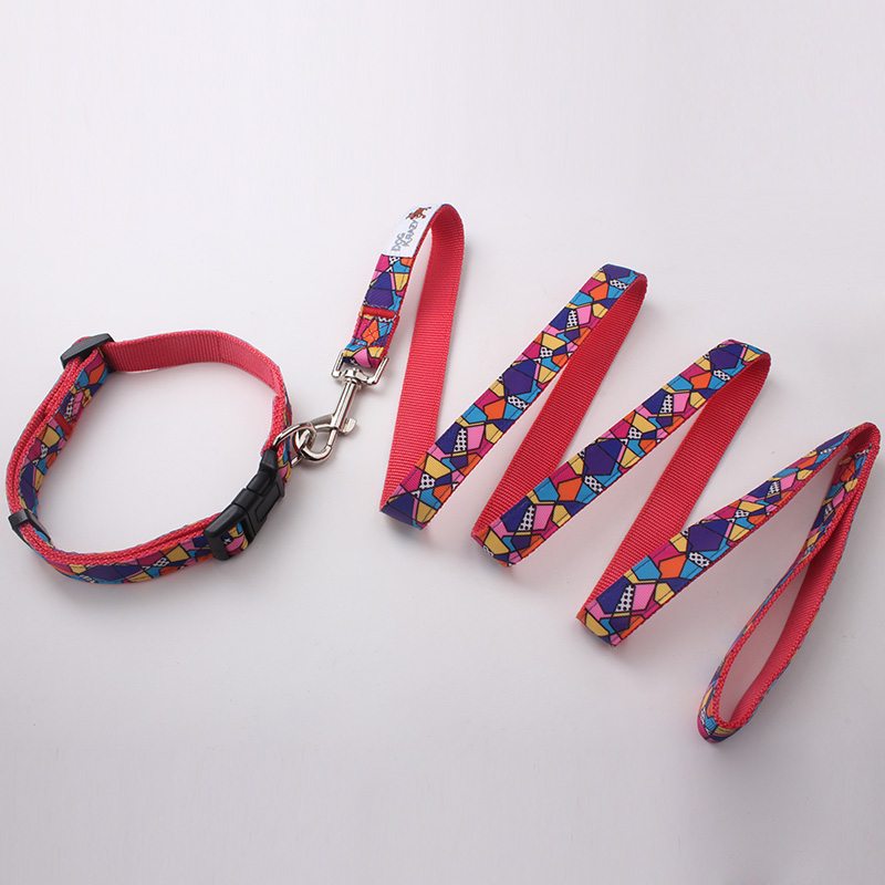 nylon dog collars&leashes