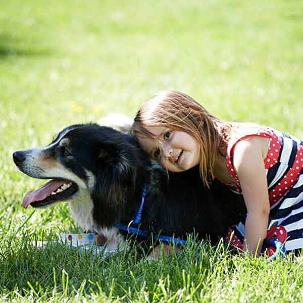 dog collar & leash