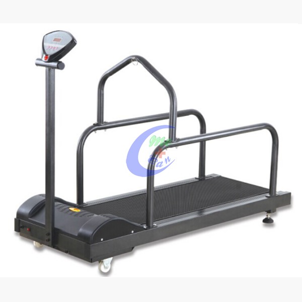 dog treadmill