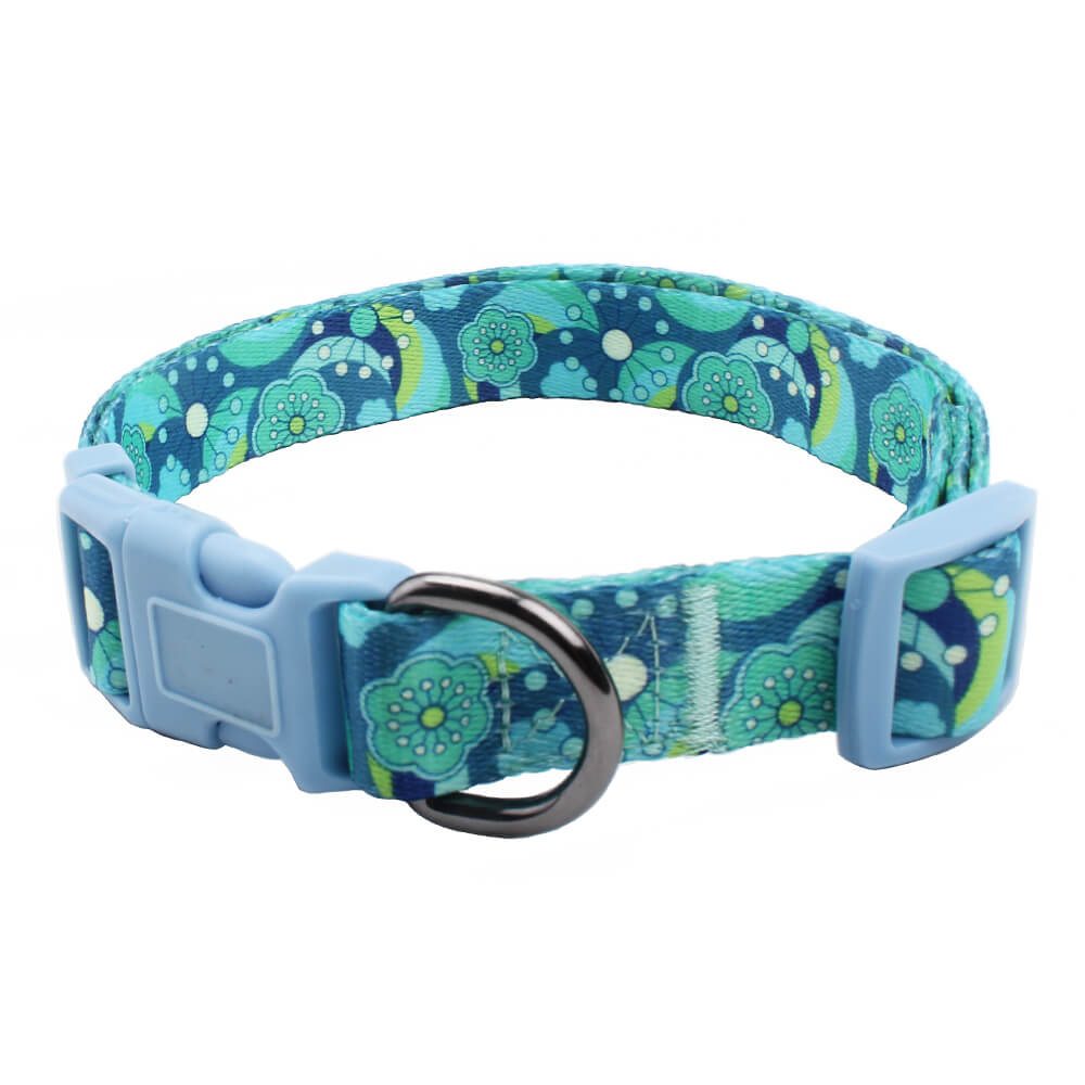 custom dog collar