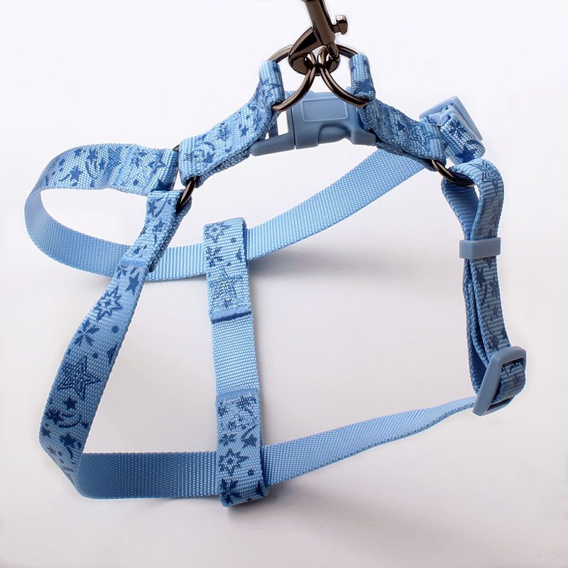 harness dog suppliers