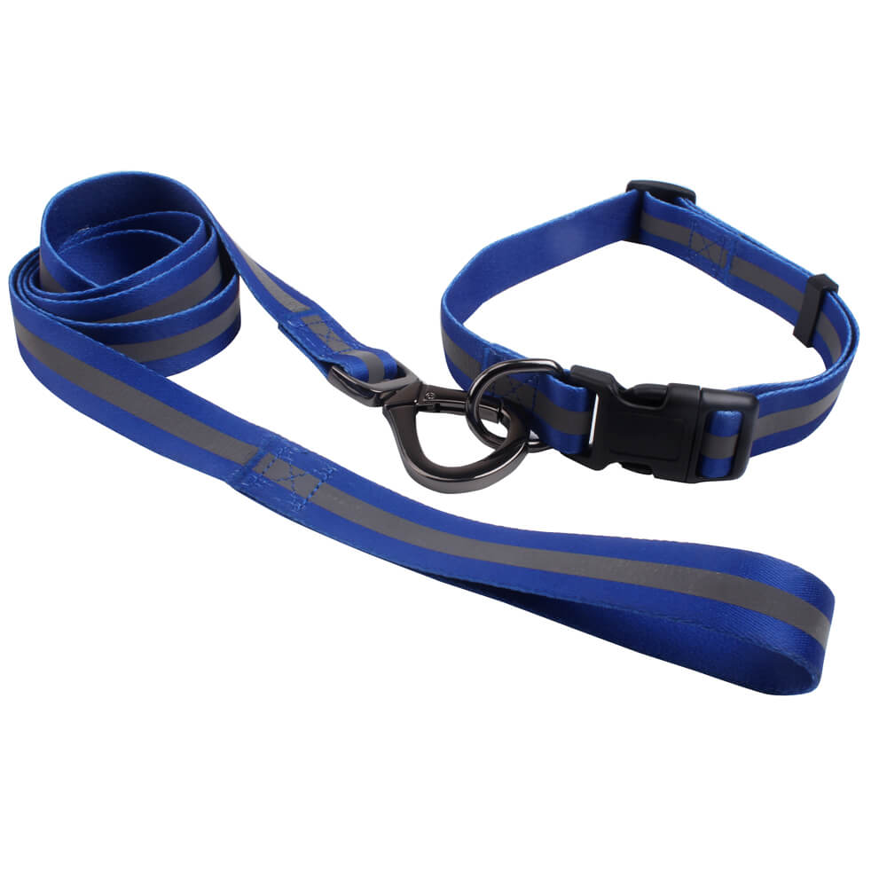 dog leashes and collars for sale