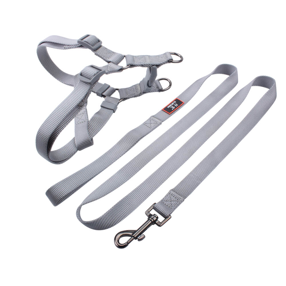best dog harness & leash