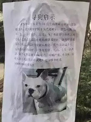 Lol あなたが見たことがない面白い迷子の広告 私は約束しました Qqpets Lol あなたが見たことがない面白い迷子の広告 私は約束しました Qqpets