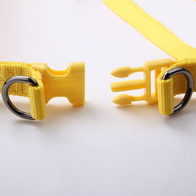 free sample dog harness