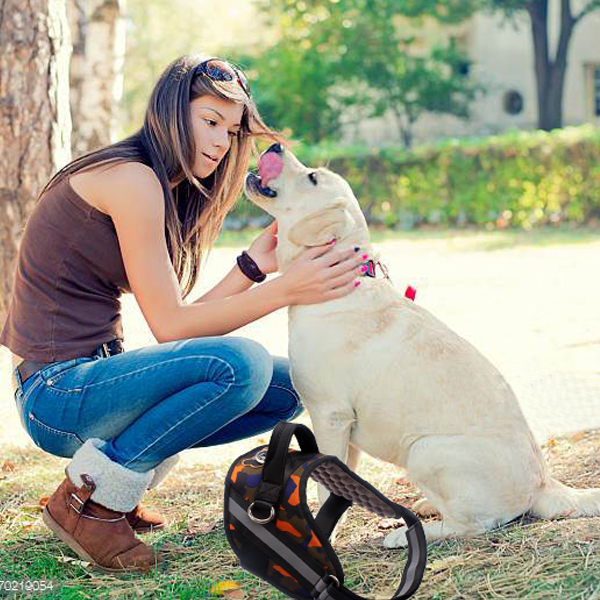 padded dog harness manufacturer