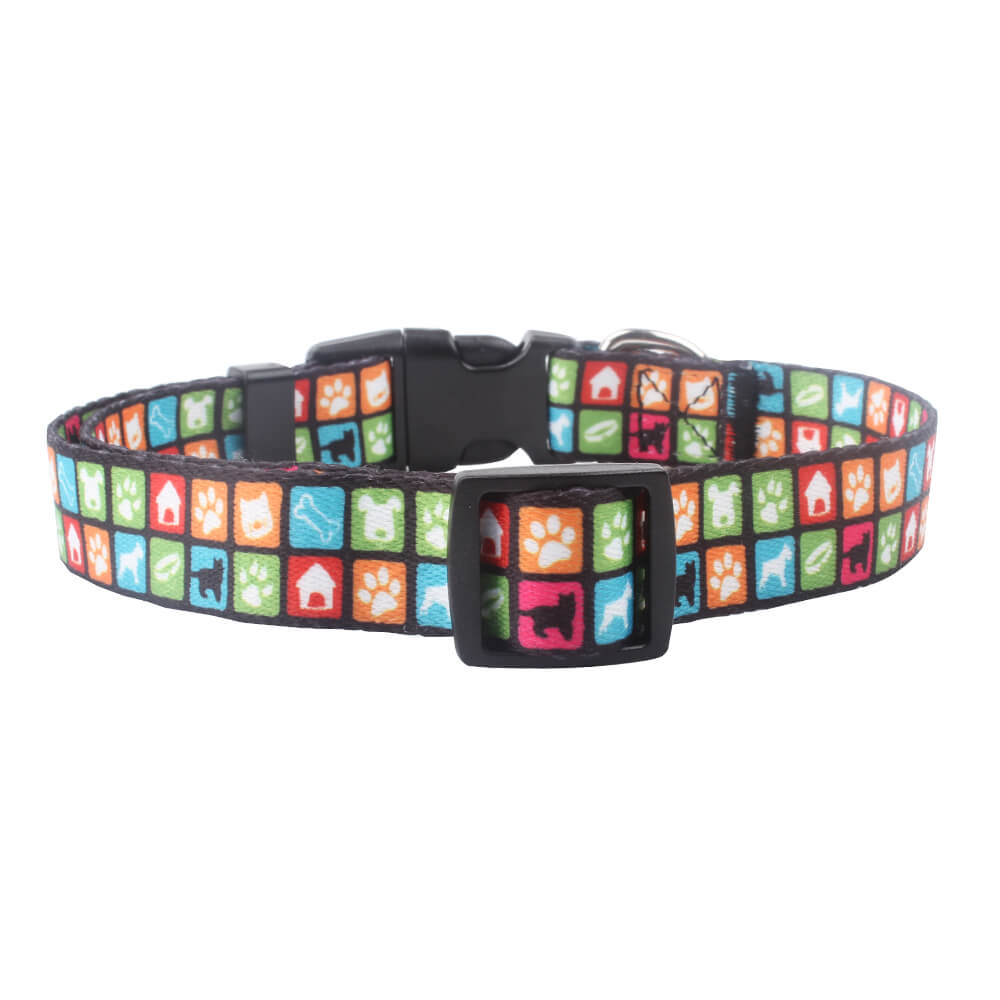 personalized pet collar service