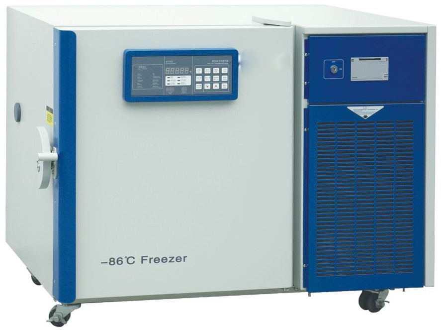 DW-HL100-1.jpg