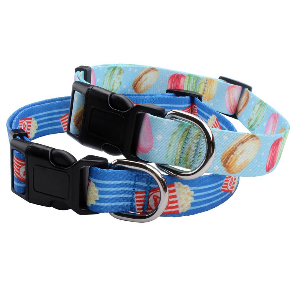 large pet collar