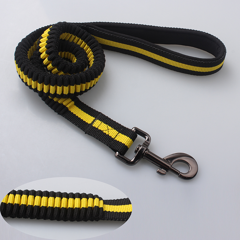 spring pet leash