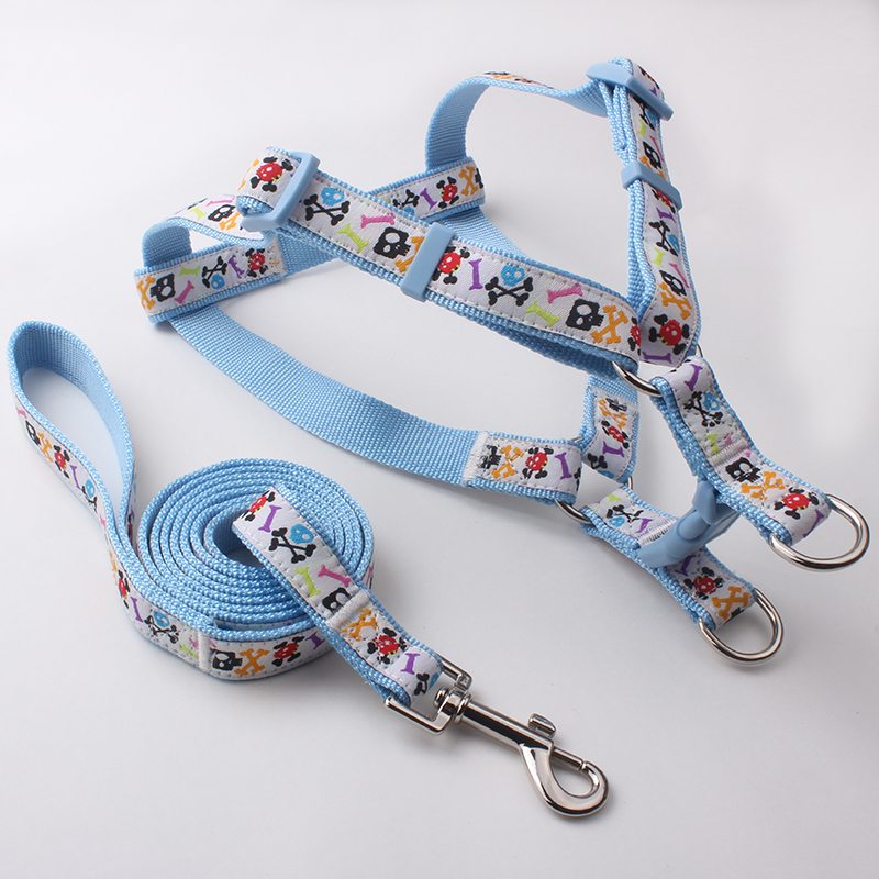 designer dog harness&leash