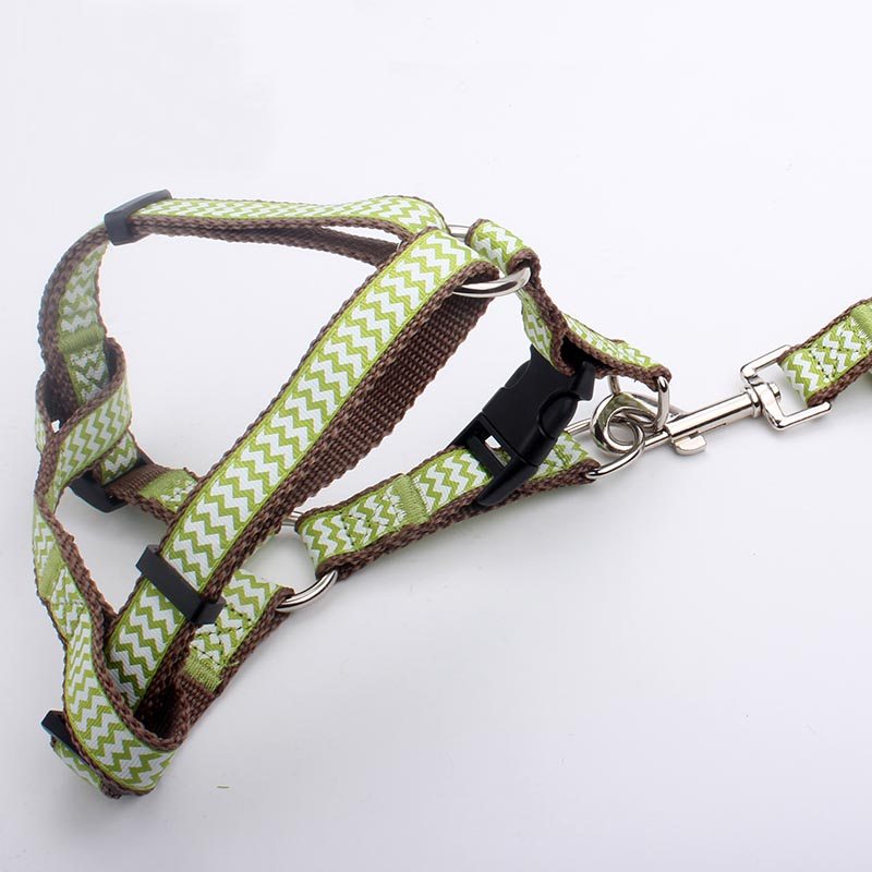 designer dog harness & leash