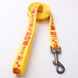 nylon dog leash