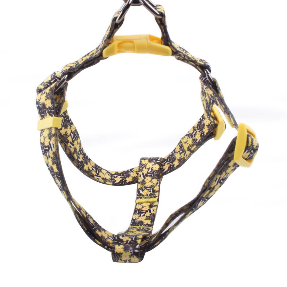 customized walking harness