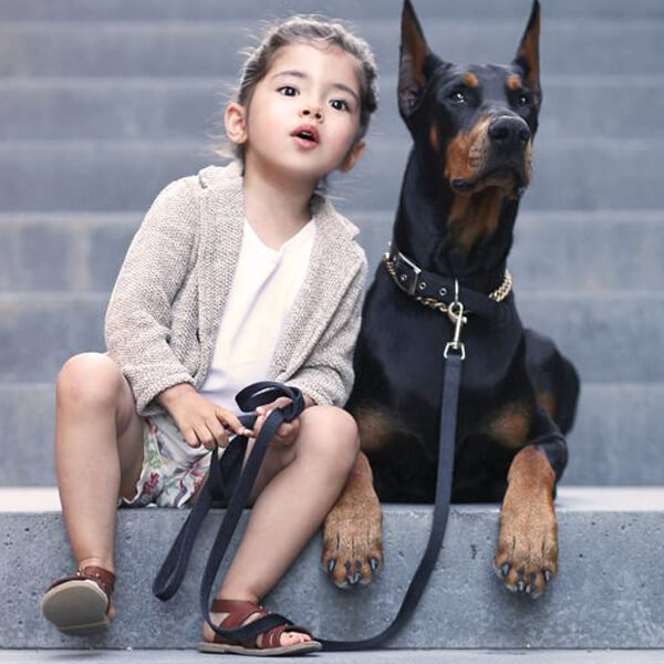 dog trainning