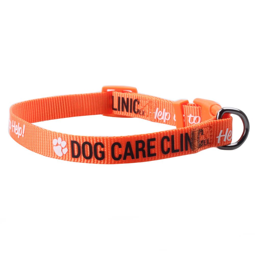 nylon puppy collars