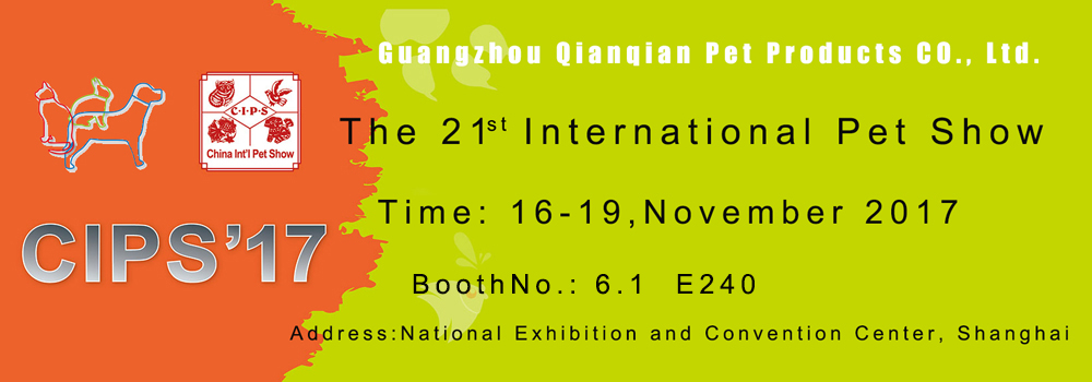 cips2017