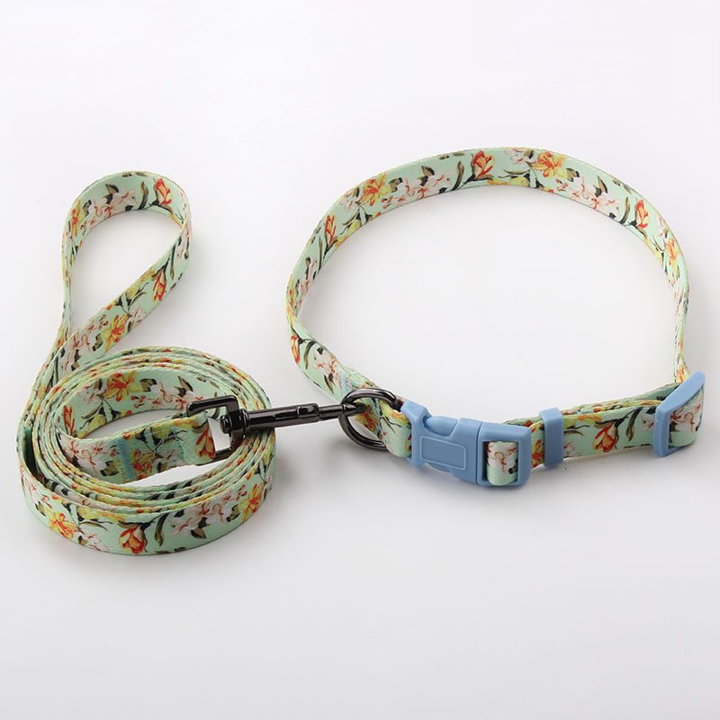 polyester dog leash factory