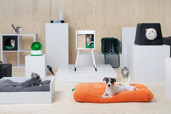 pet furniture