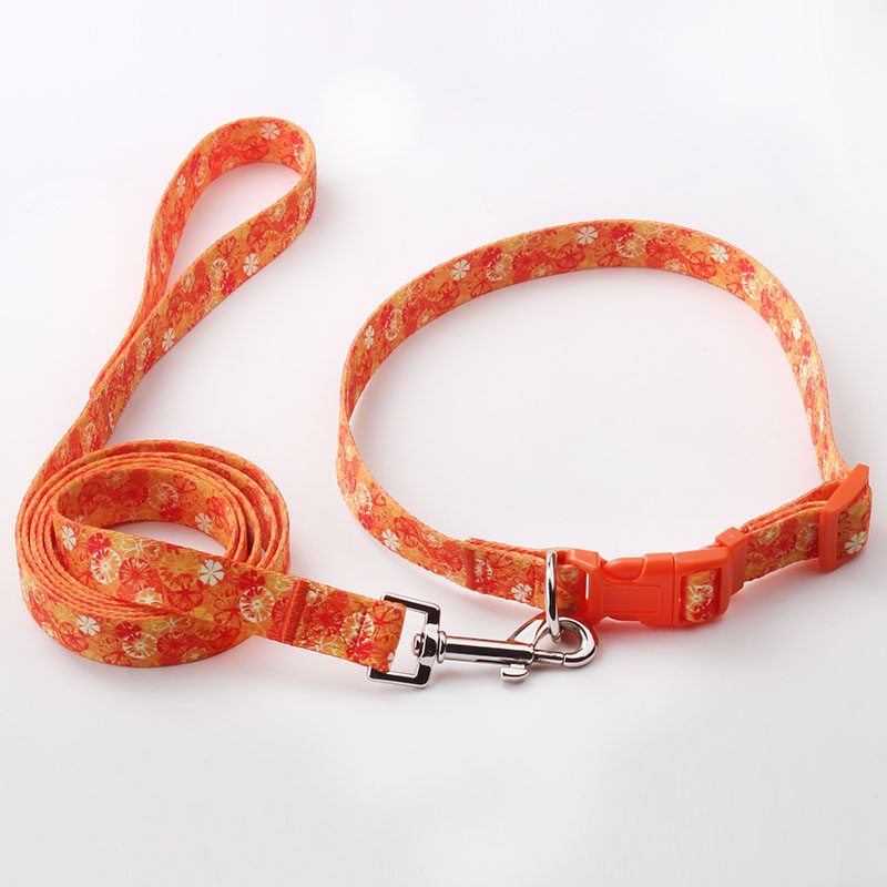polyester dog leash factory