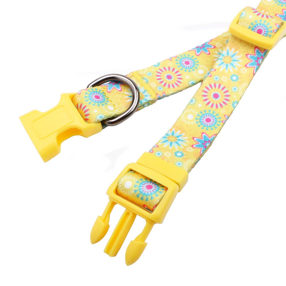 dog collar supply