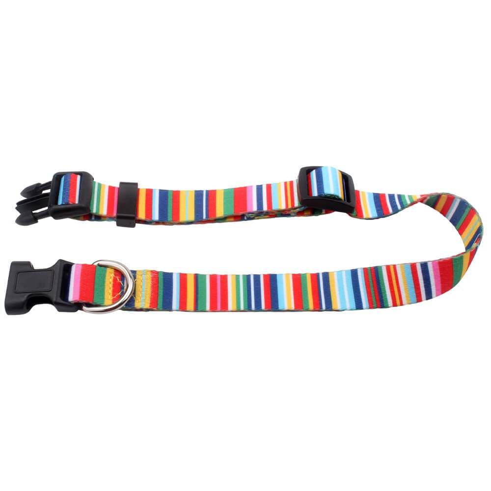 custom dog collars