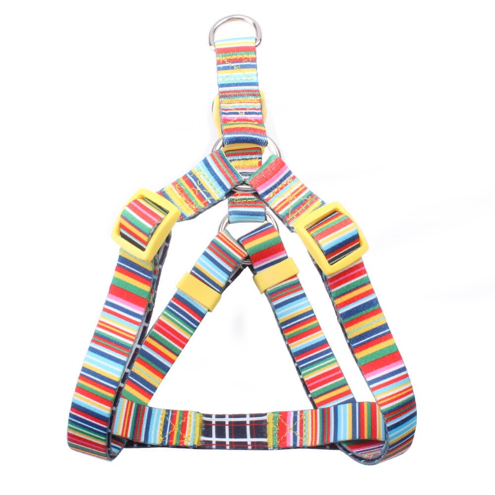 custom puppy harness