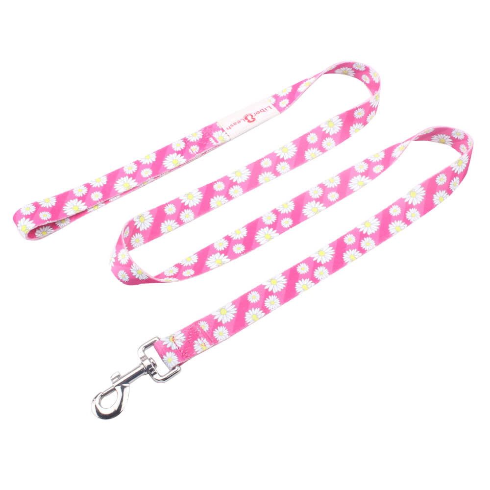 long dog lead