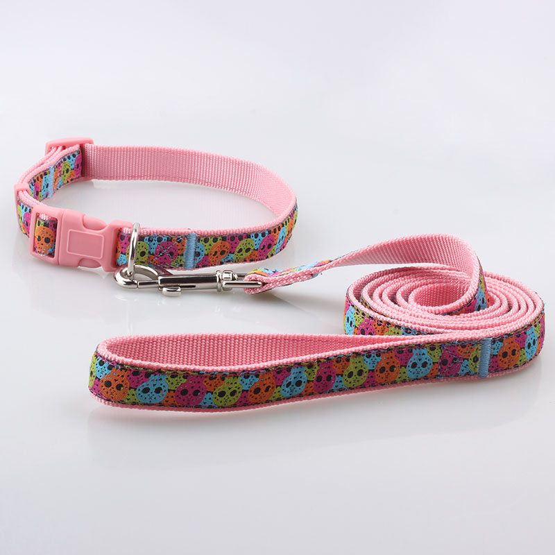 dog collars leashes