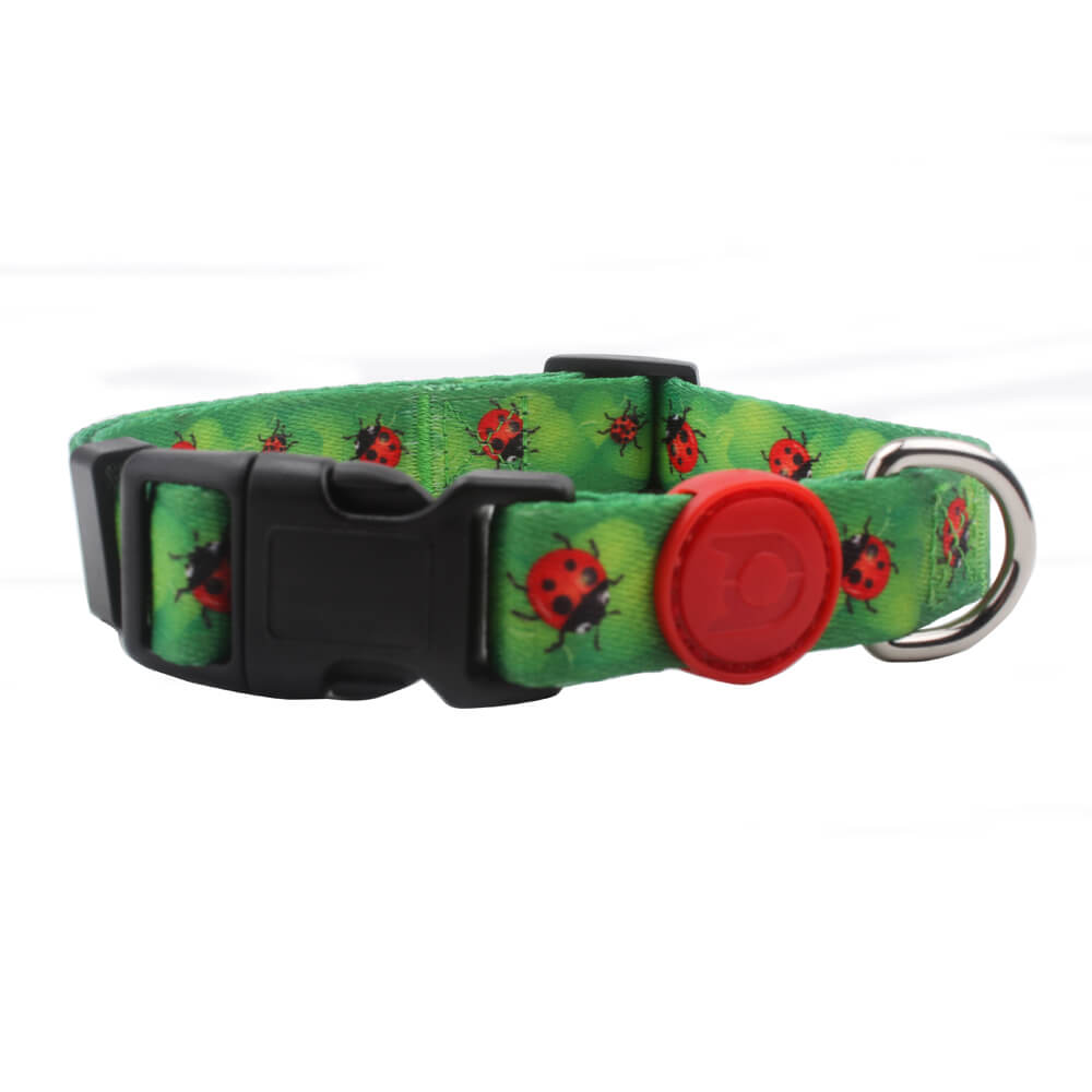 pet collar factory