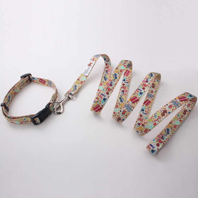 best dog collars&leashes