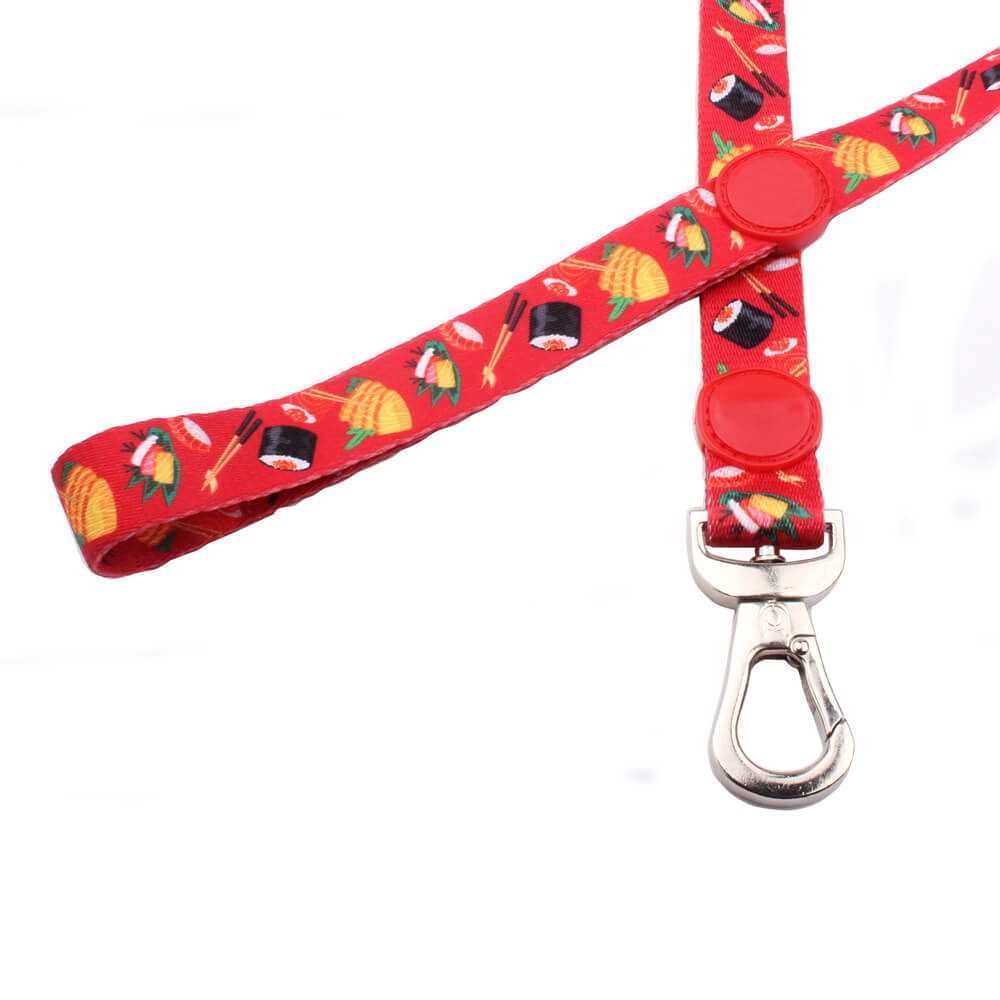 puppy leash
