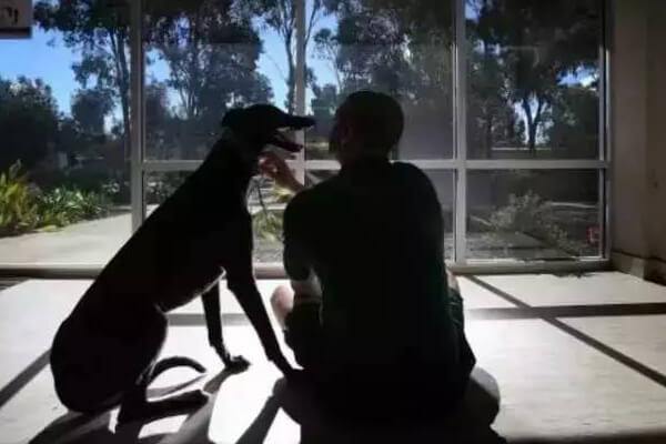 greyhound met criminals