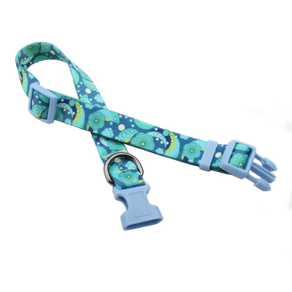 design dog collar