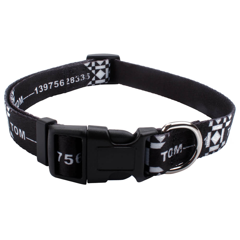 training dog collar