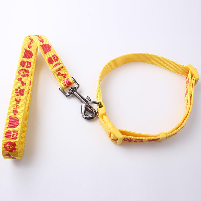 nylon dog collars&leashes