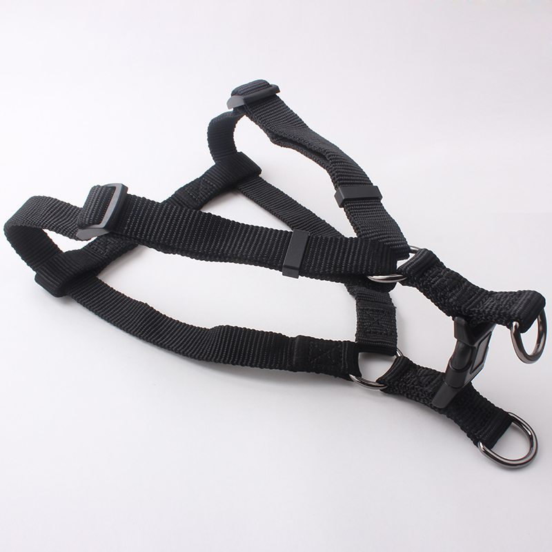 nylon dog leashes