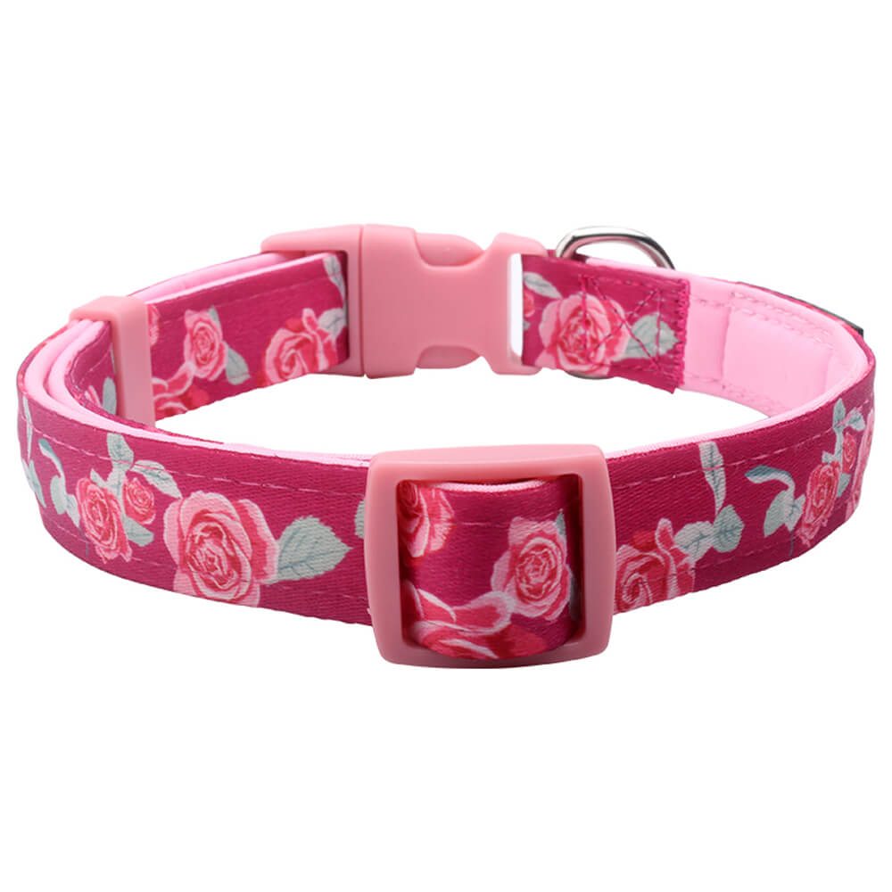 padded dog collar