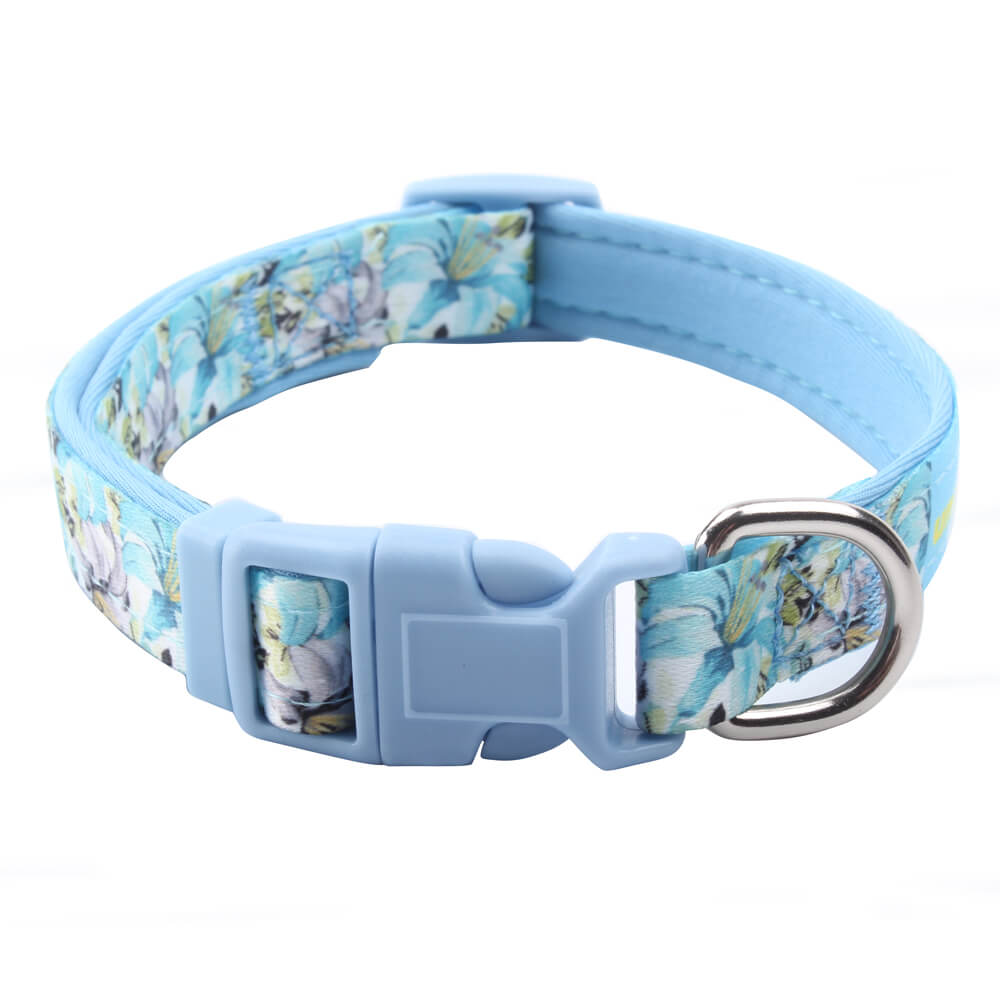 padded dog collar supplies