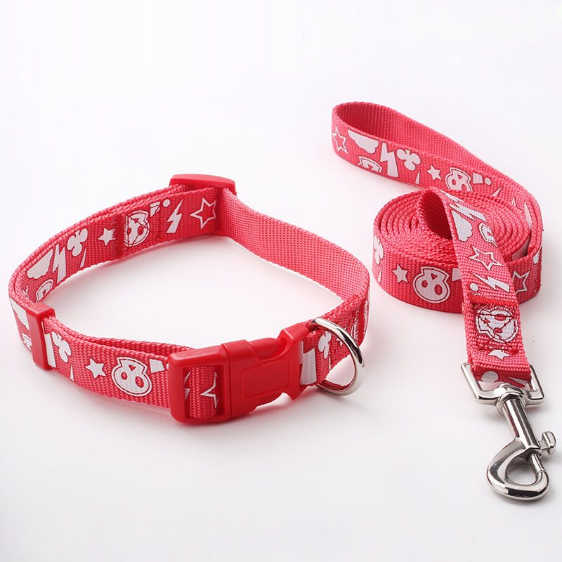 nylon dog leash factory