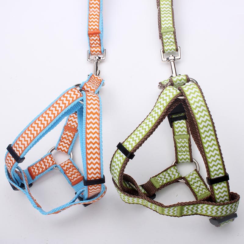 dog collars leashes harnesses