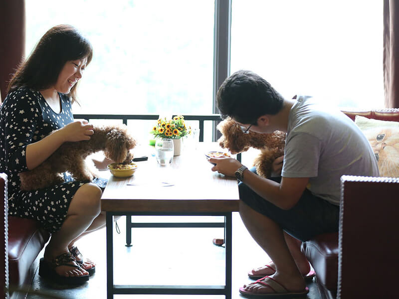pet themed restaurant