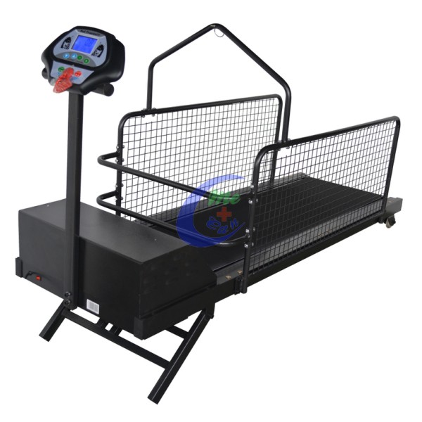 Dog treadmill