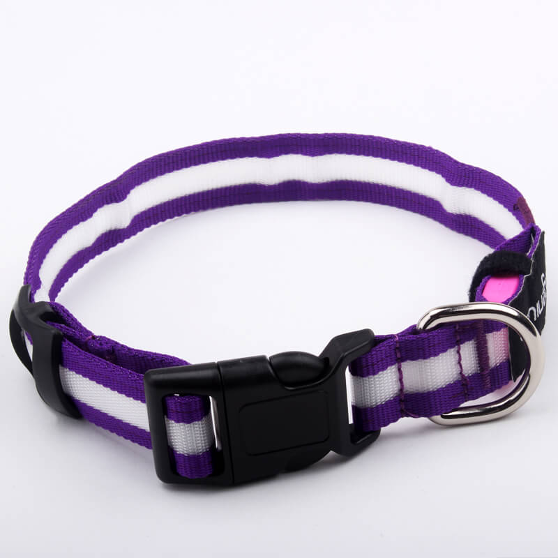 light dog collars