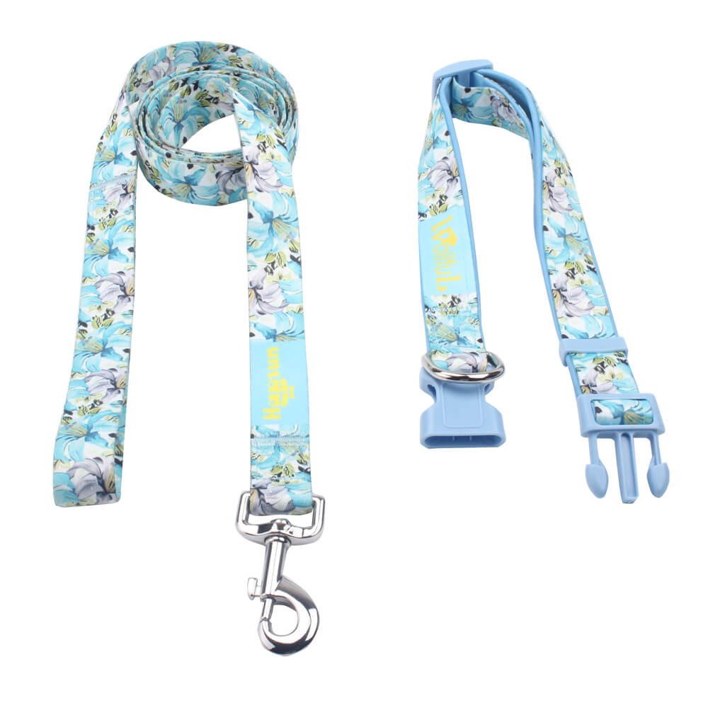 custom dog collar & leash