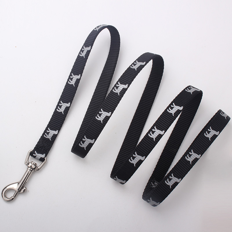 dogs leash