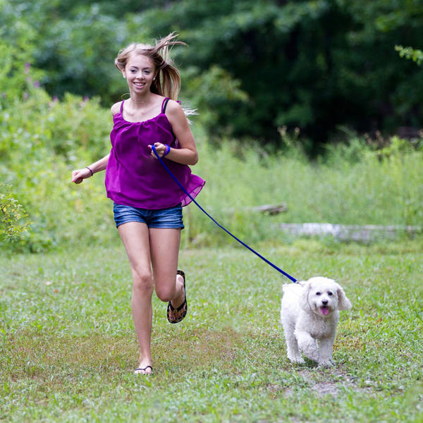massage dog harness supply