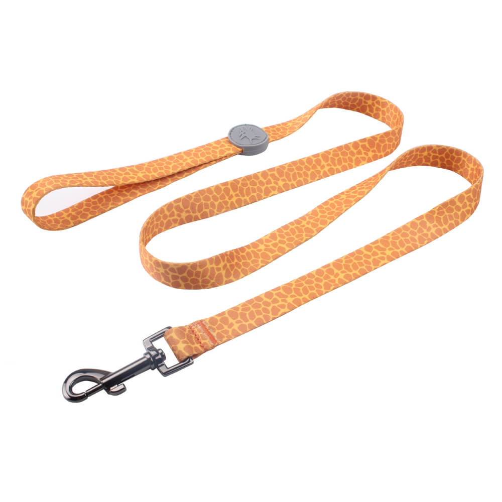 dog leashes supplier