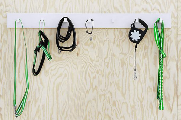 dog collars & leash